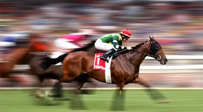 Illustration shew - Image 1