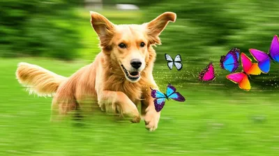 Illustration hunts - Image 1