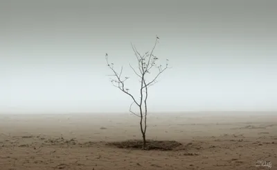 Illustration scantling - Image 1