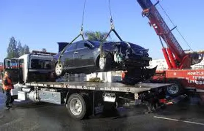 Illustration impound - Image 3