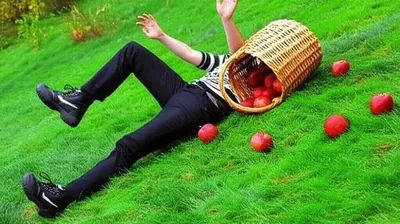 Illustration falls - Image 1