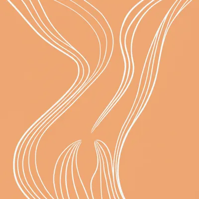 Illustration starfishes - Image 1