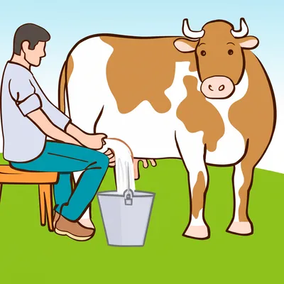 Illustration milking - Image 1