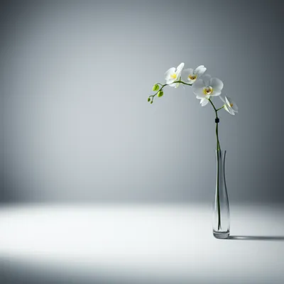 Illustration sterile - Image 1