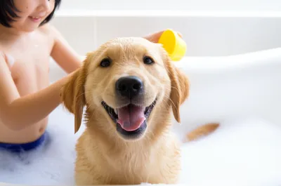 Illustration bathed - Image 1