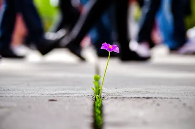 Illustration overlooked - Image 1