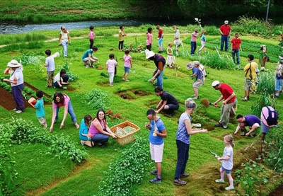 Illustration commons - Image 1