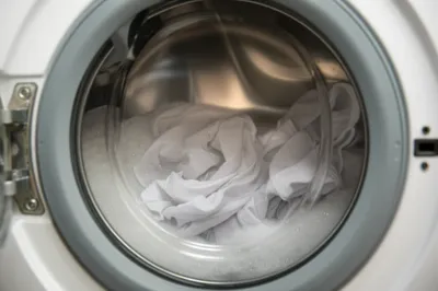 Illustration bucking - Image 1