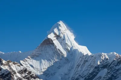 Illustration tallest - Image 1