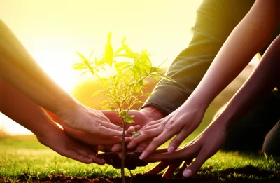 Illustration committal - Image 1