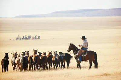 Illustration wrangles - Image 1