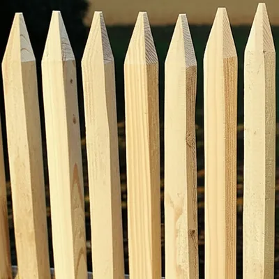 Illustration pales - Image 1