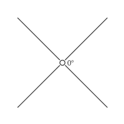 Illustration foot - Image 1