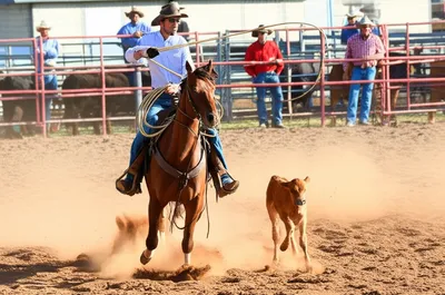 Illustration rodeo - Image 1