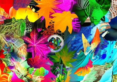 Illustration promiscuity - Image 1