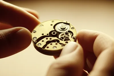 Illustration dig - Image 1