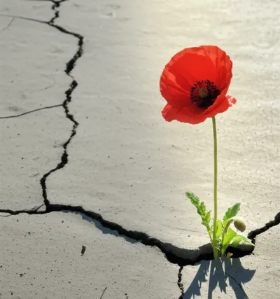 Illustration spontaneous - Image 1