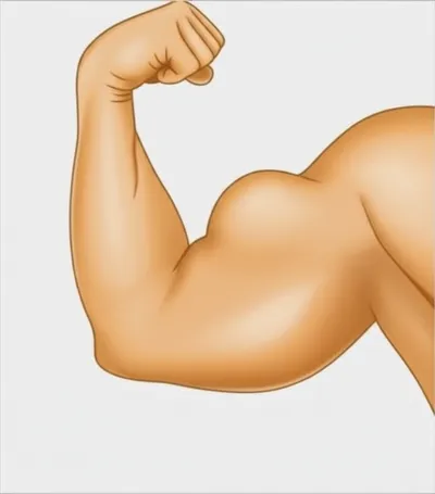 Illustration tuber - Image 1