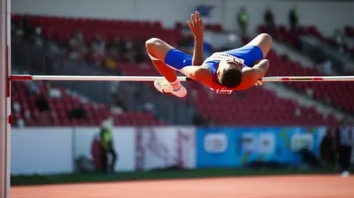 Illustration bars - Image 1