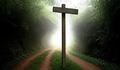 Illustration again - Image 1