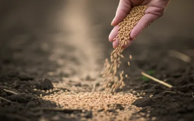 Illustration distributed - Image 1