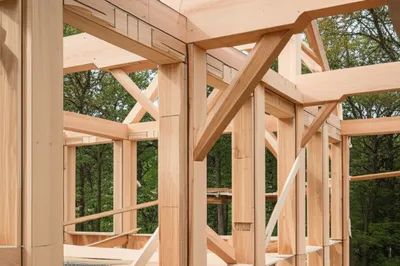 Illustration timbered - Image 1