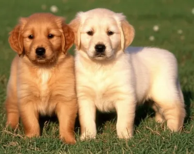 Illustration dilute - Image 1