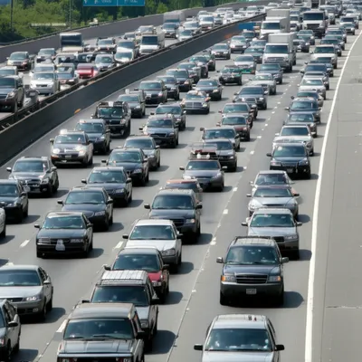 Illustration cages - Image 1