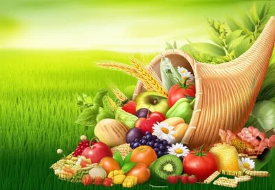 Illustration abounded