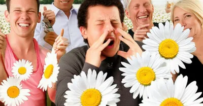 Illustration idiosyncrasy - Image 1