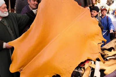 Illustration backs - Image 1