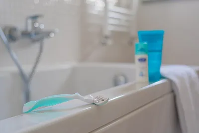 Illustration bladed - Image 2