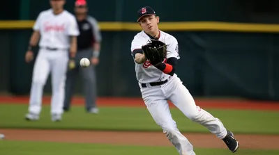 Illustration catches - Image 1