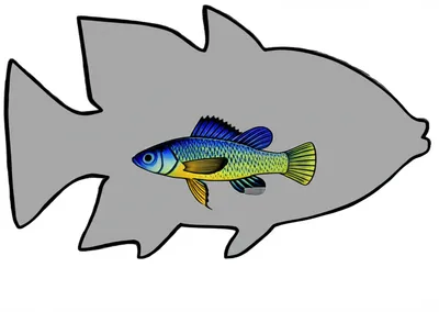 Illustration upcast - Image 1