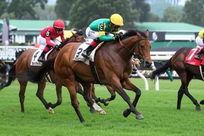 Illustration impost - Image 1