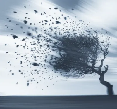 Illustration gusts - Image 1