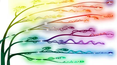 Illustration homologue - Image 1