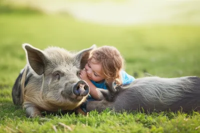 Illustration nuzzle - Image 1