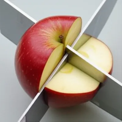 Illustration divides - Image 1