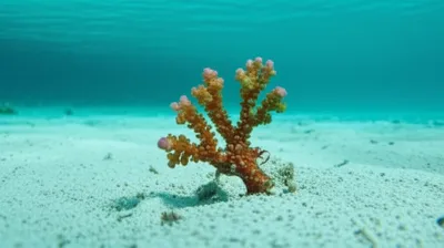 Illustration seeds - Image 1