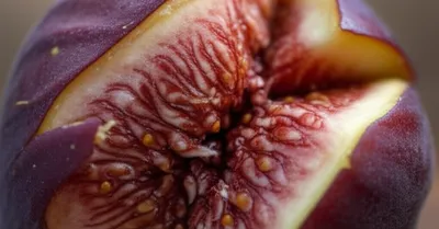 Illustration nuanced - Image 1