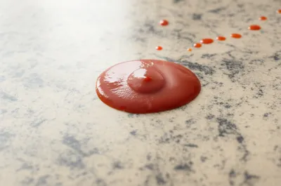 Illustration formica - Image 1