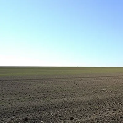 Визуальная иллюстрация слова «field» - Поле, местность