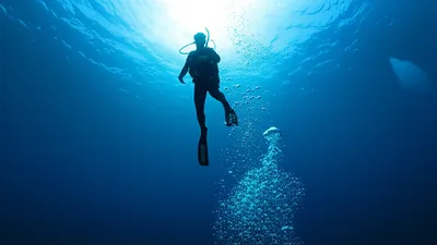 Illustration decompress - Image 1