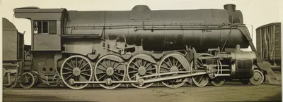 Illustration decapod - Image 1