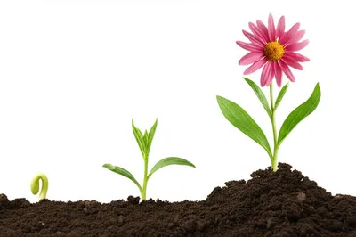 Illustration mature - Image 1