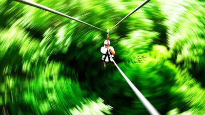 Illustration canopy - Image 1