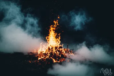 Illustration damps - Image 1