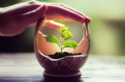 Illustration excusing - Image 1