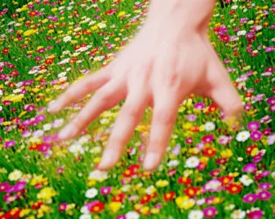 Illustration quelled